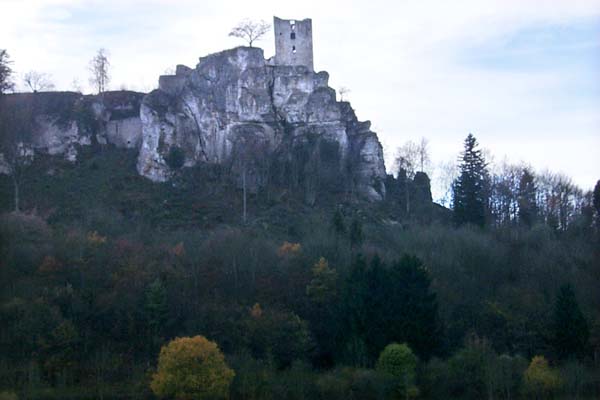 pic-40