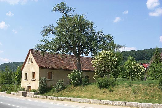 pic-46