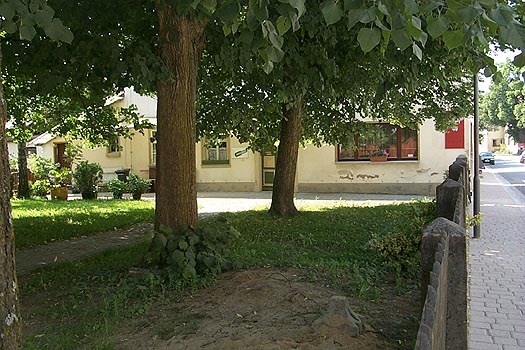 pic-59